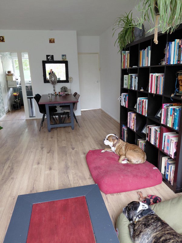 huis Wijenburg Amsterdam - Afbeelding 5