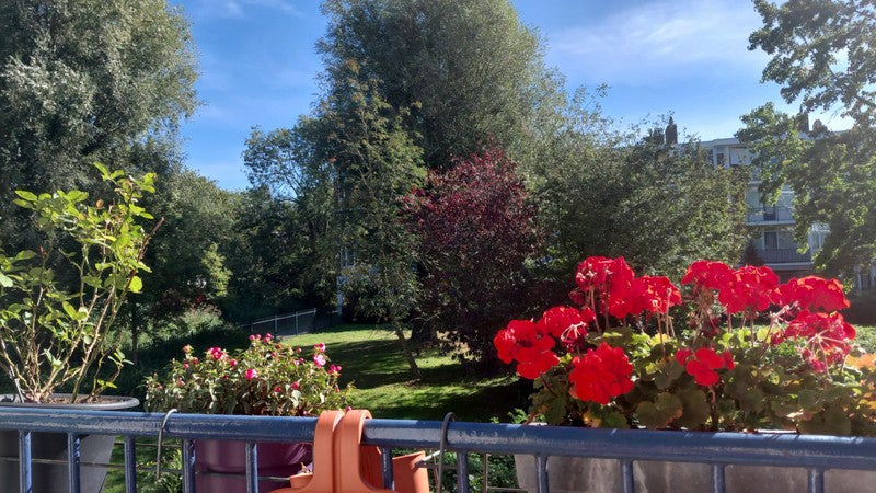 huis Wijenburg Amsterdam