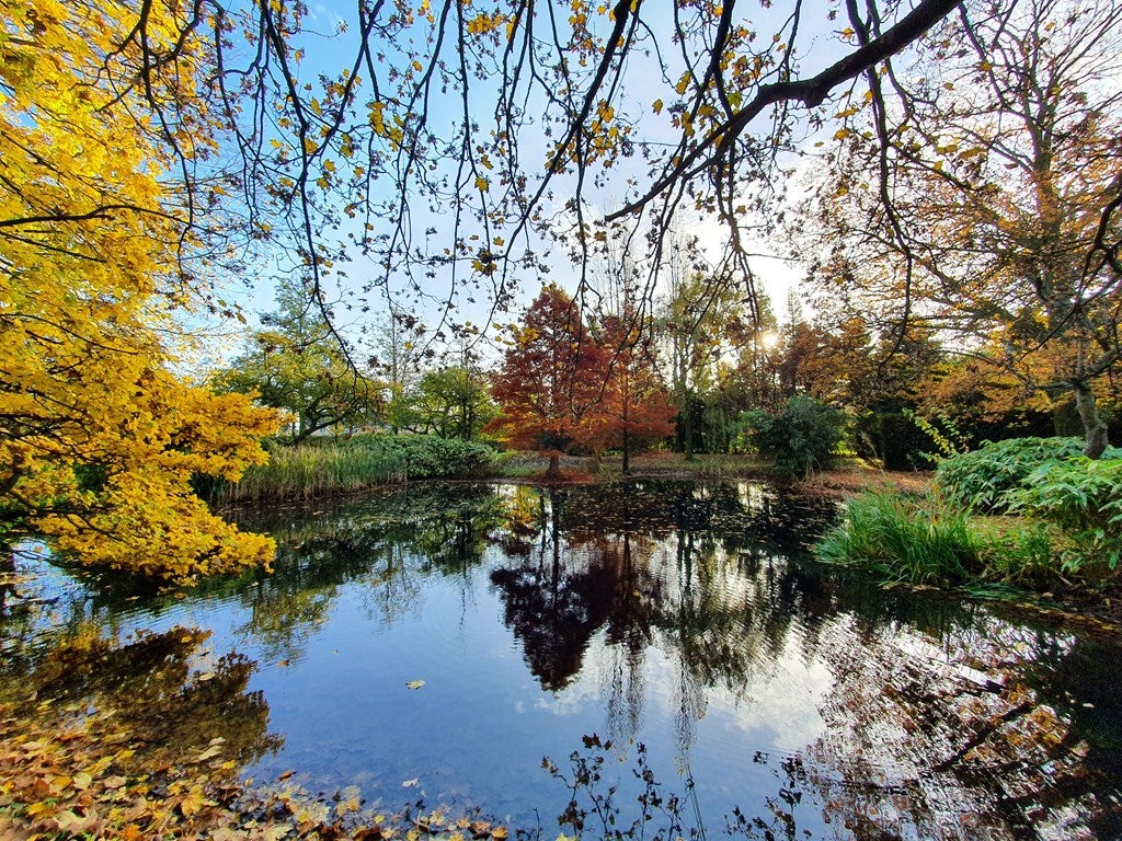 huis 't Zand Utrecht - Afbeelding 3