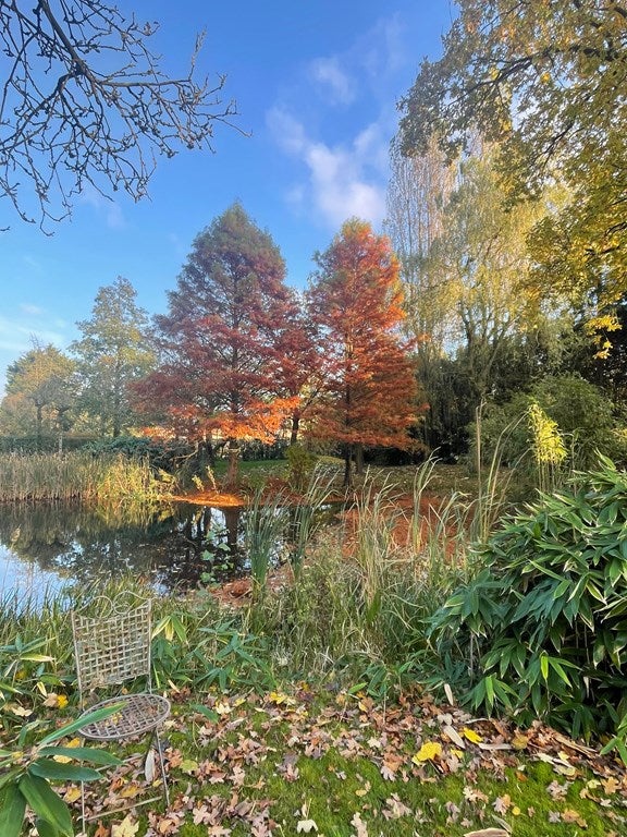 huis 't Zand Utrecht - Afbeelding 5