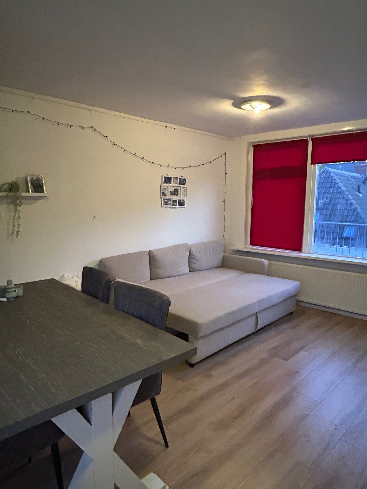 kamer Agricolastraat Groningen - Afbeelding 2