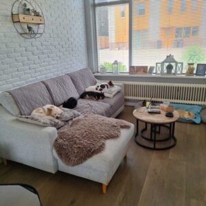 kamer Alphenseweg Gilze