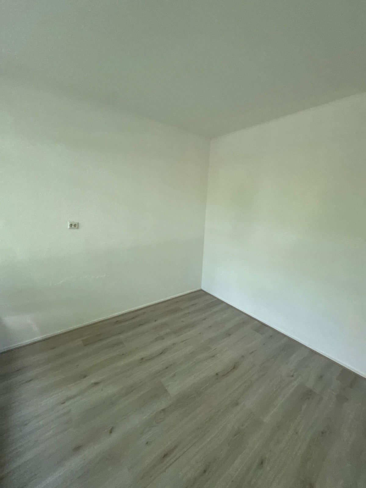 kamer Humperdinckstraat Tilburg - Afbeelding 3