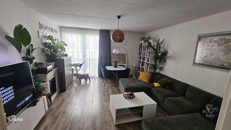 kamer Rapenburg Amsterdam