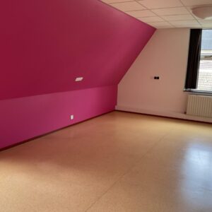 kamer Toppereend Emmen