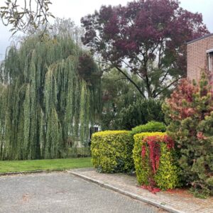 kamer Warmelo Huizen