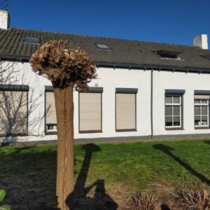 kamer van Maelstedestraat 's-Heer Hendrikskinderen