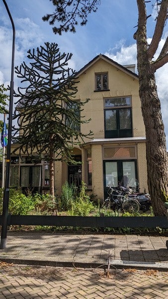 studio Bosweg Apeldoorn - Afbeelding 2