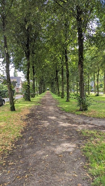 studio Bosweg Apeldoorn - Afbeelding 3