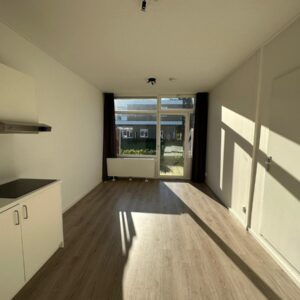 studio Flintstraat Emmen