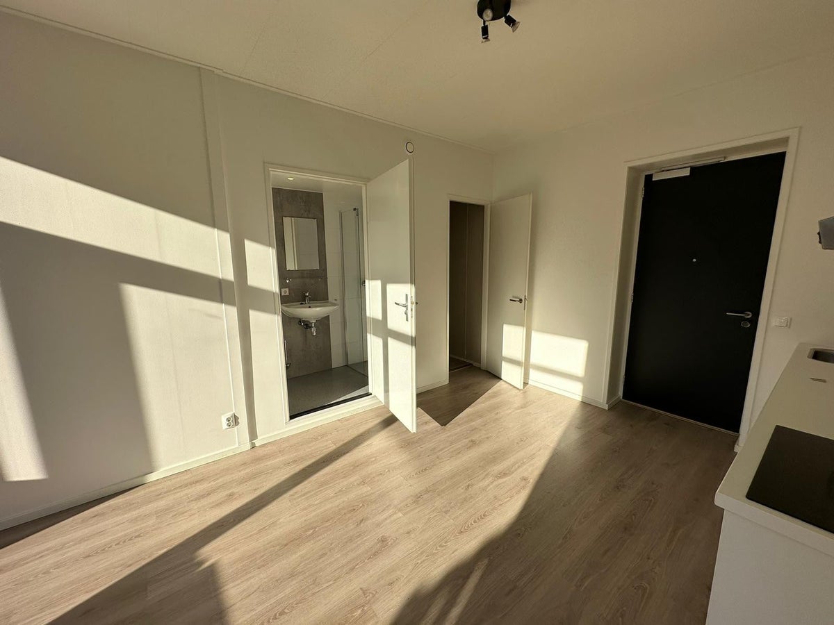 studio Flintstraat Emmen - Afbeelding 5