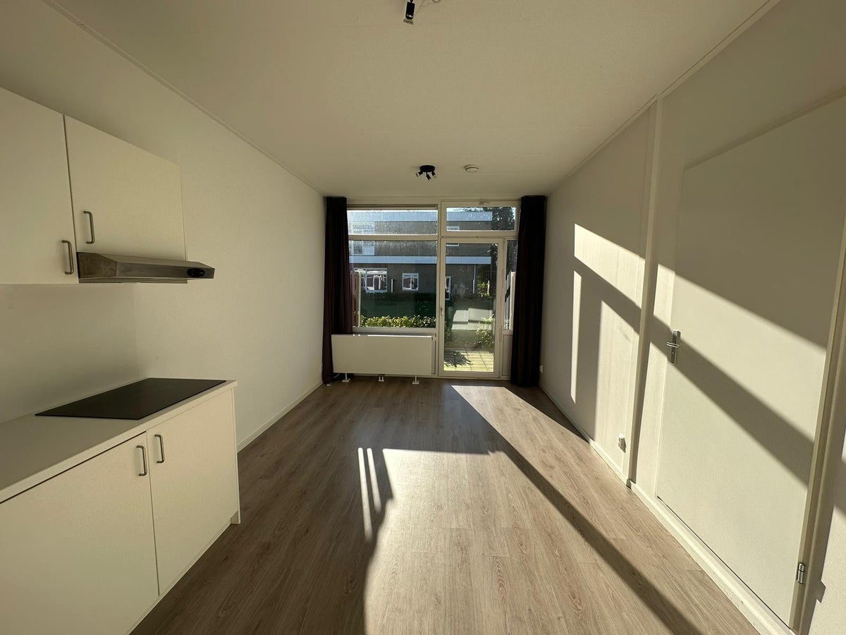 studio Flintstraat Emmen