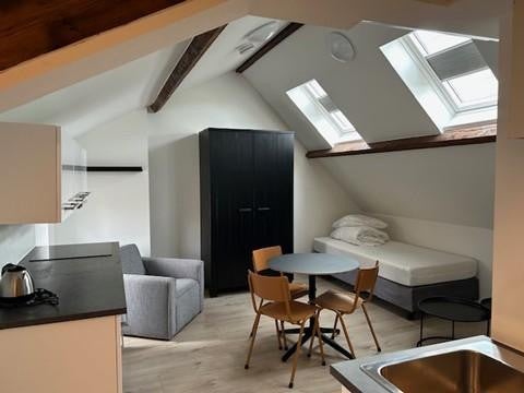 studio Frankenstraat Maastricht - Afbeelding 5