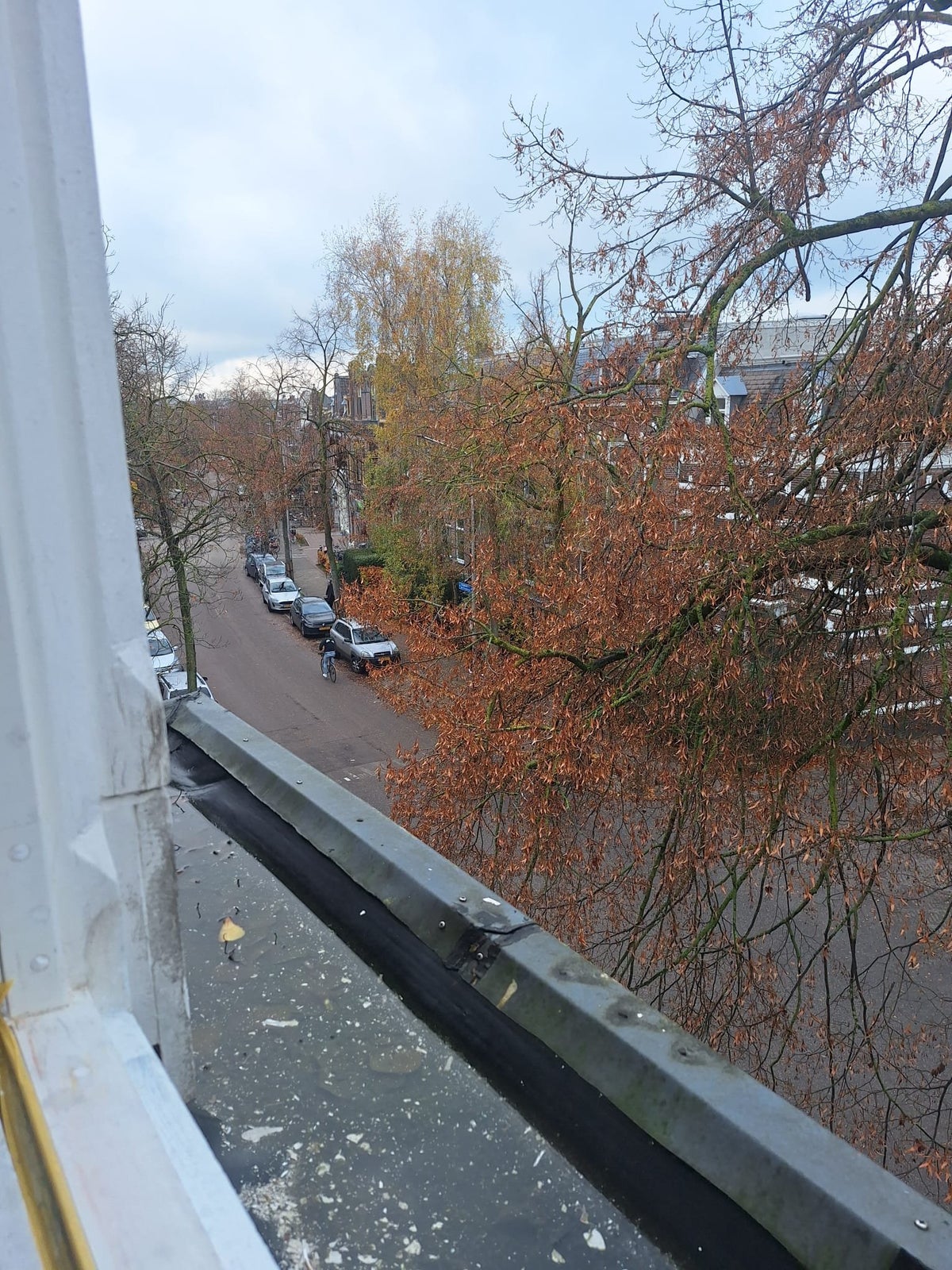 studio Jan de Wittstraat Nijmegen - Afbeelding 2