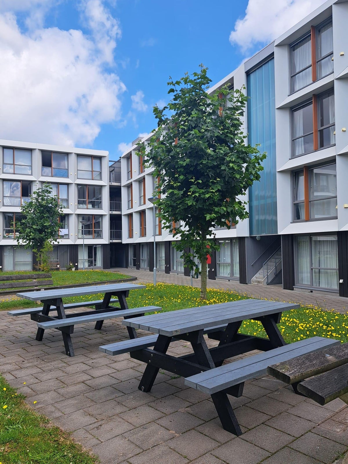 studio Rat Verleghstraat Breda - Afbeelding 2