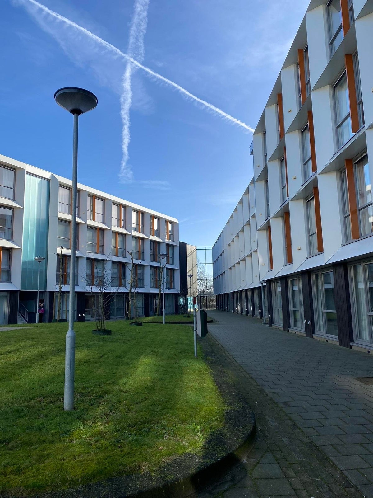 studio Rat Verleghstraat Breda - Afbeelding 3